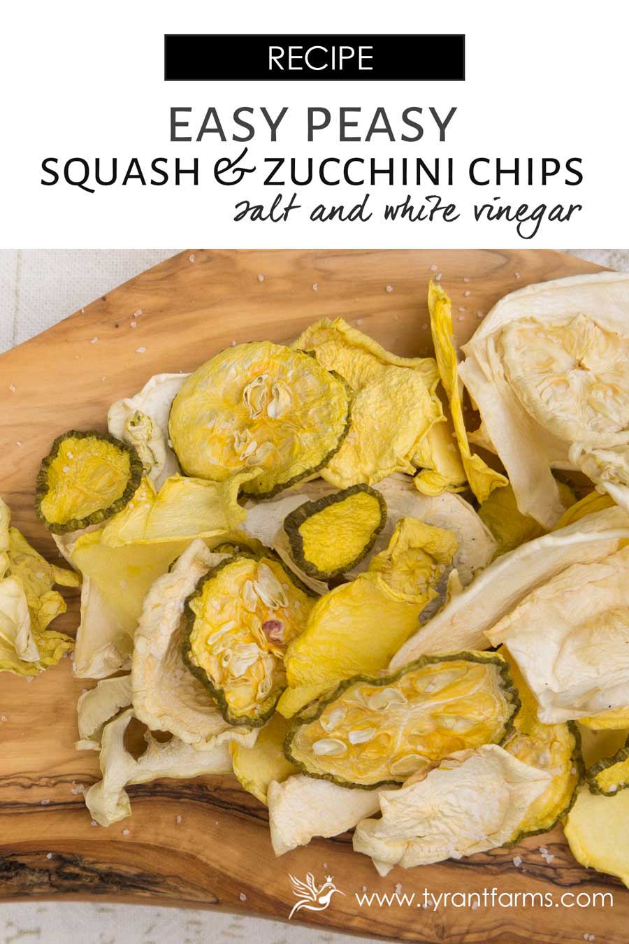 How to Make Squash Chips and Save Your Marriage Tyrant Farms